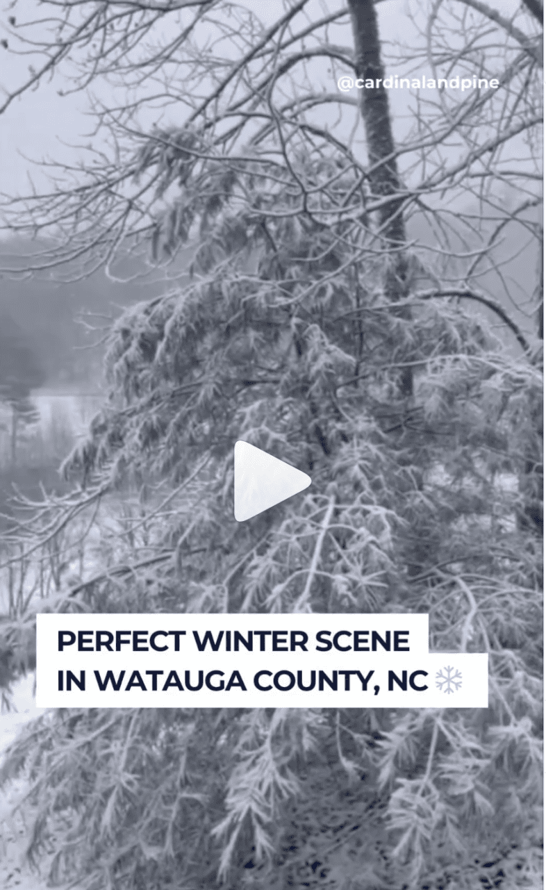 VIDEO: Perfect Winter Scene in Watagua County, NC